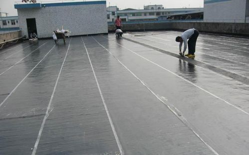 如何鑒定防水卷材和防水涂料的質量？簡單幾招保障防水效果